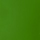 LIGHT GREEN PERMANENT